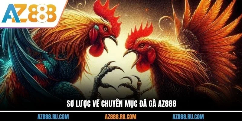 Sơ lược về chuyên mục đá gà AZ888
